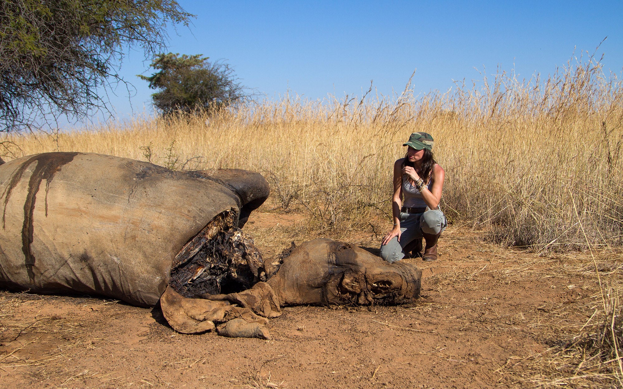 Author with poached white rhino.