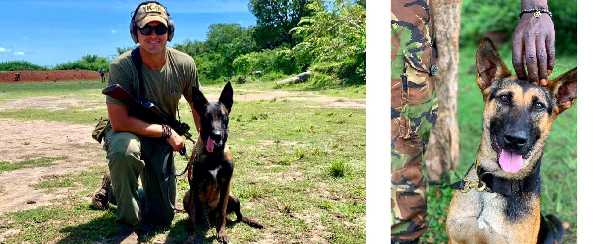 Training Dogs for Anti-Poaching in Africa - Wild In Africa®