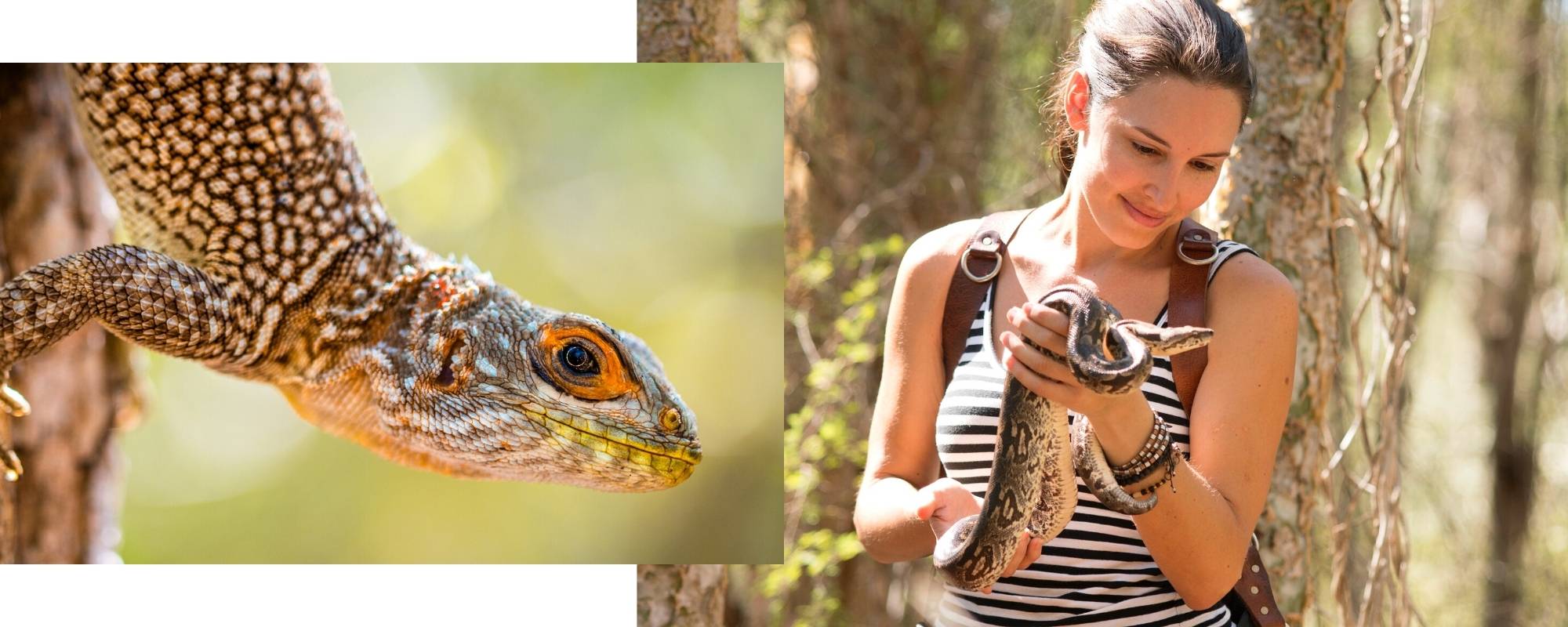 Shannon Wild with reptiles in Madagascar