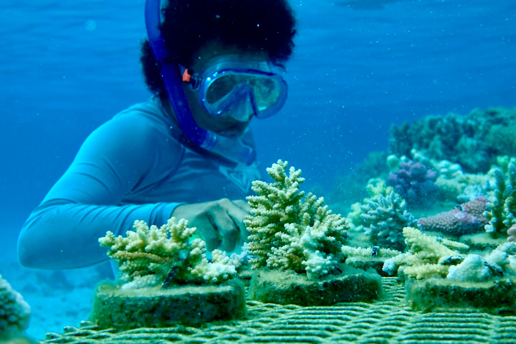 Marine conservation in Fiji through the Vatuvara Foundation