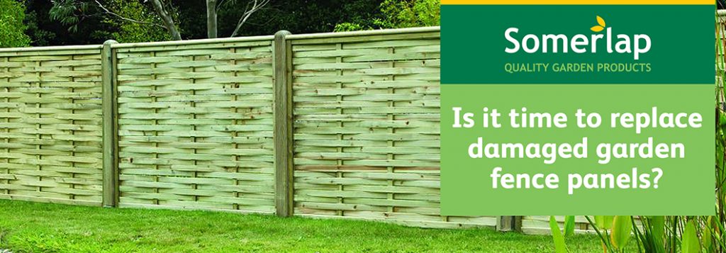 Ace Fence Company Austin – Local Fence Company