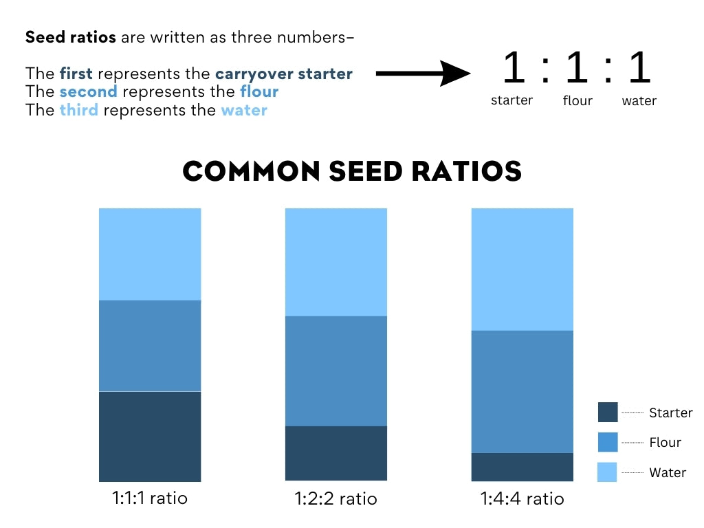 Bar graph of common seed ratio for sourdough starter