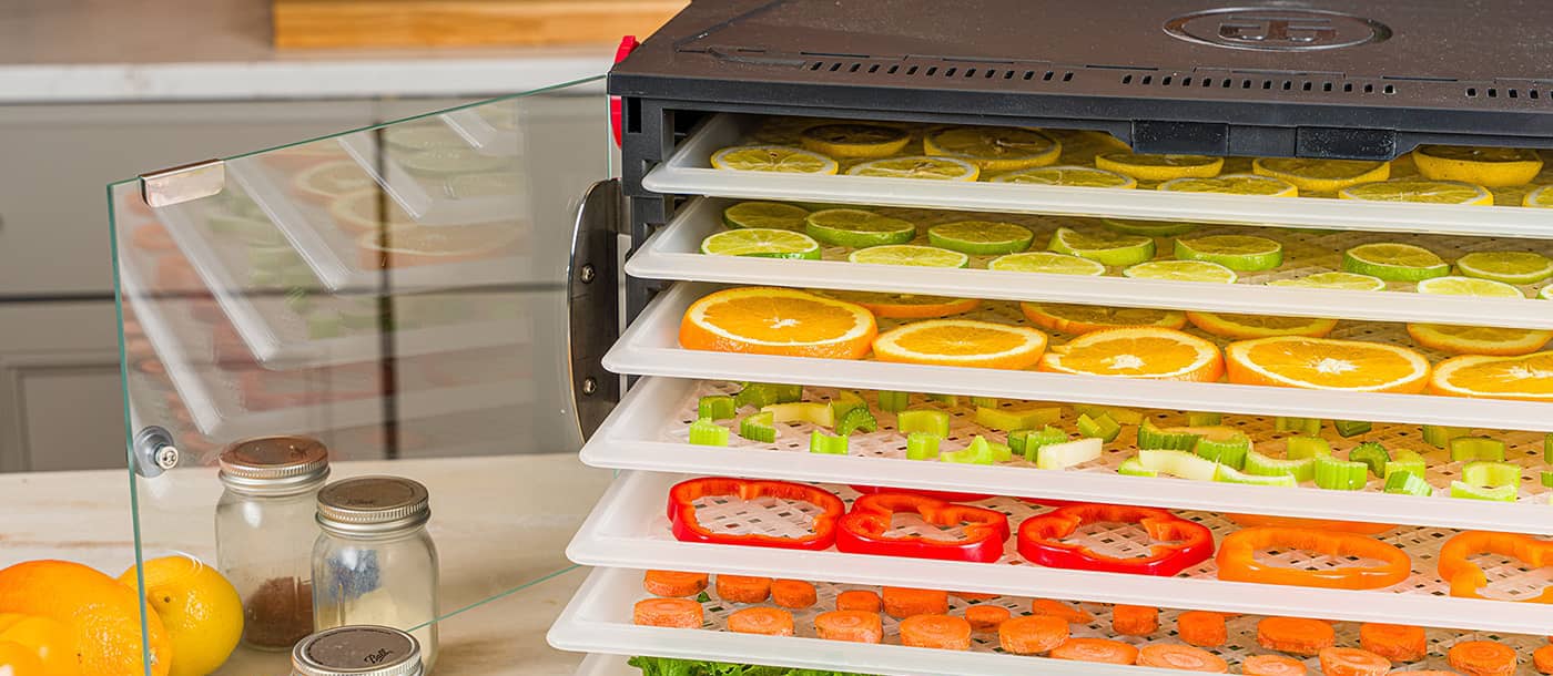 Sahara Folding Dehydrator