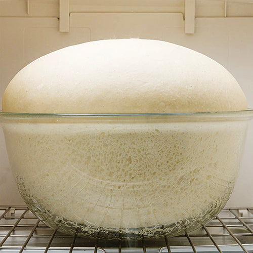 Risen dough in a glass bowl