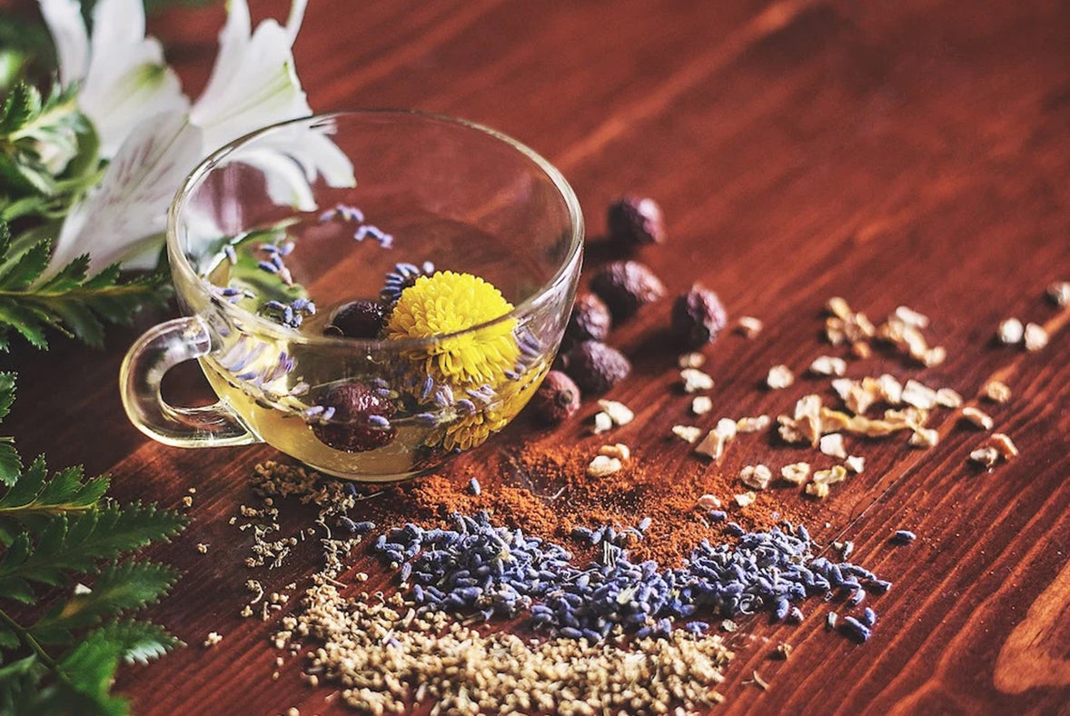 Tisane dans une tasse en verre avec des fleurs et des herbes déshydratées