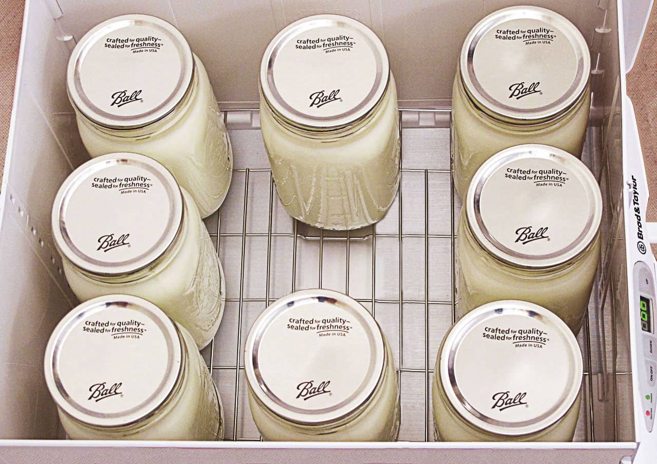yogurt in jars placed inside the proofer