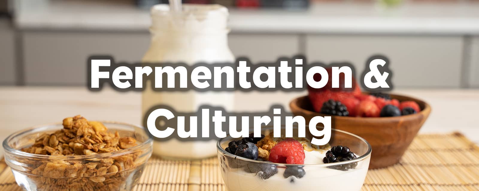 Aller à la section Fermentation et culture