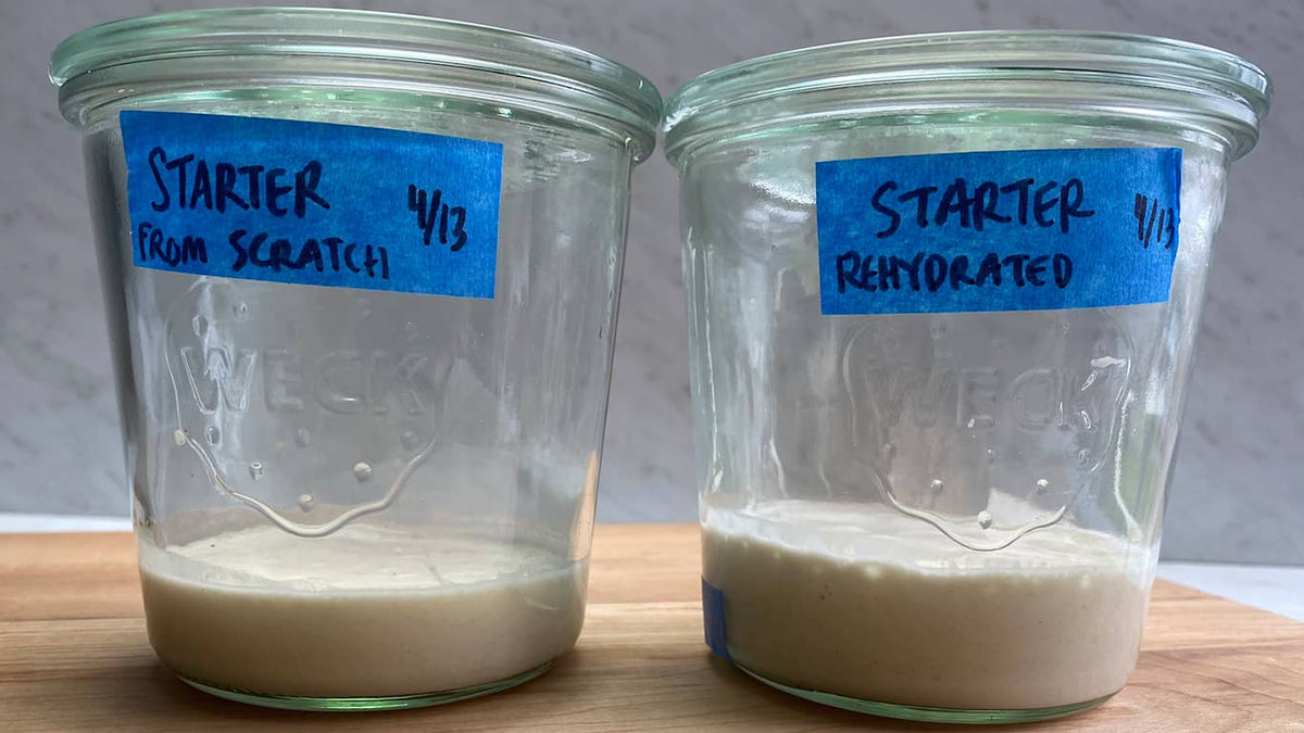 Day 4 comparison of starter made from scratch and rehydrated starter. The rehydrated starter is visibly more active 