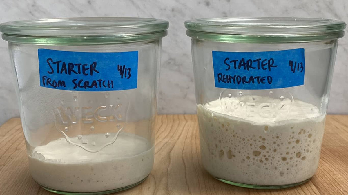 Day 5 comparison of starter from scratch and rehydrated starter 7 hours after being fed in the morning