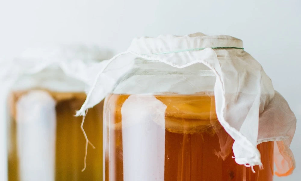 kombucha with scoby covered and fermenting