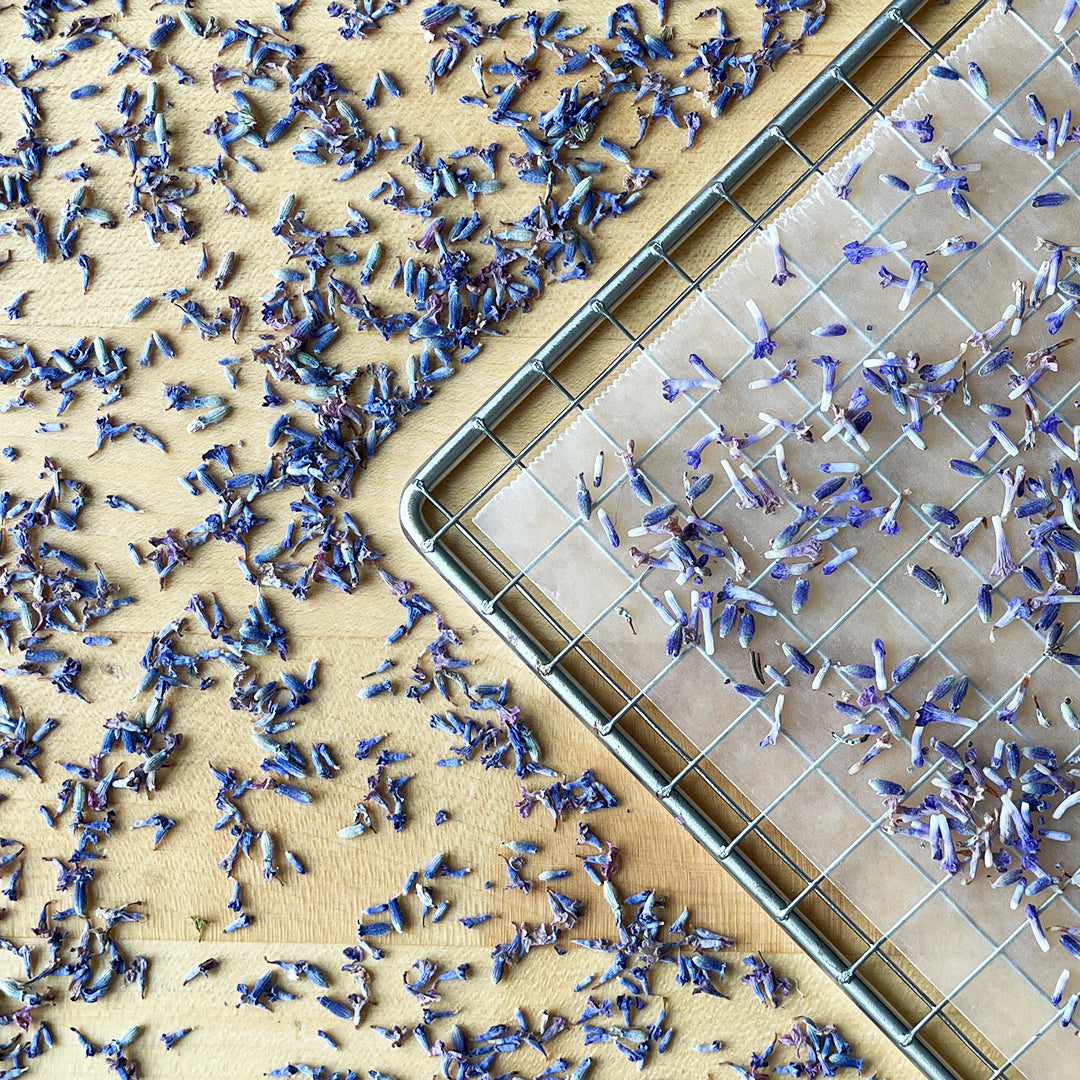 Lavender flower, dehydrated and fresh