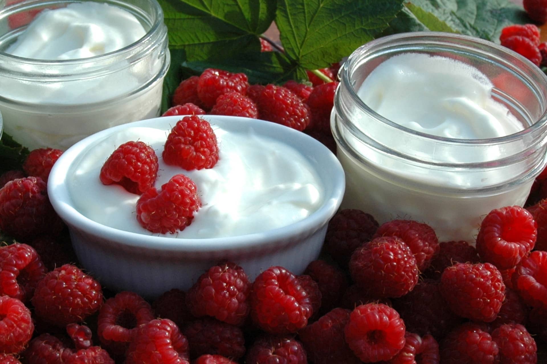 Yogurt with fresh raspberries