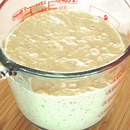 Leaven in a glass measuring cup