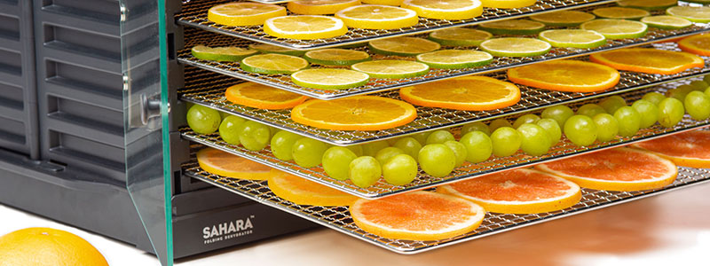 A variety of dried fruits on dehydrator shelves