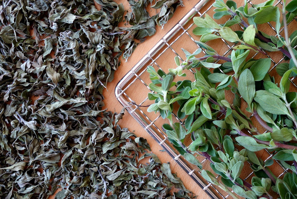 Dehydrated herbs next to fresh herbs on stainless steel wire rack