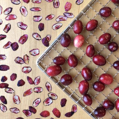 slices of cranberries