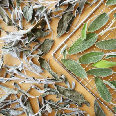 Fresh and dehydrated sage on a dehydrator rack