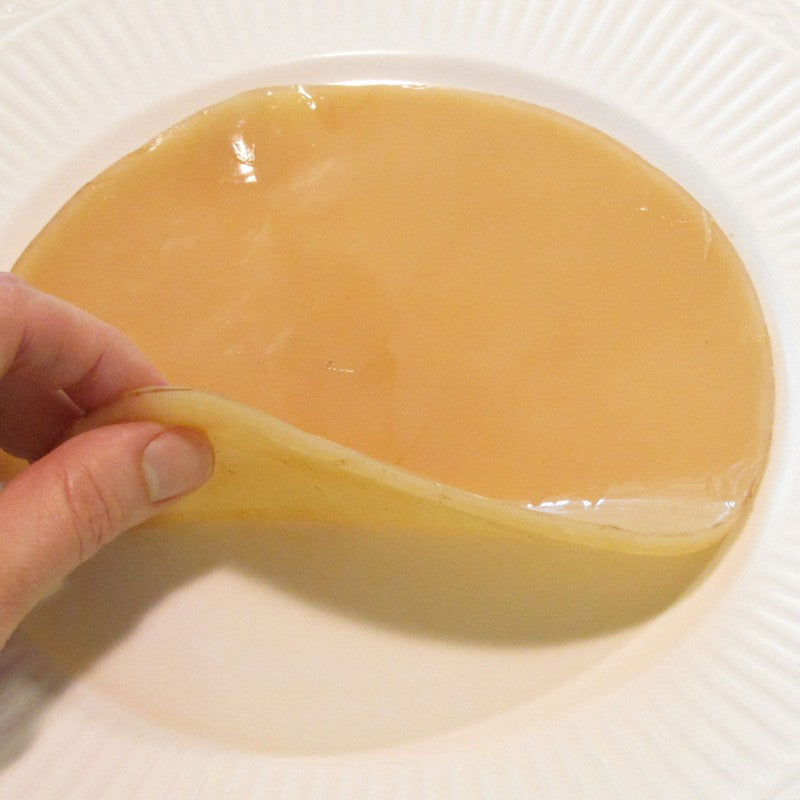 eleven day old scoby