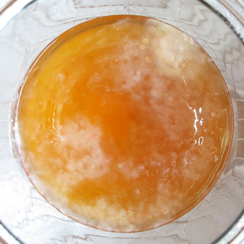 How to Grow a Kombucha Scoby — in just 10-12 Days