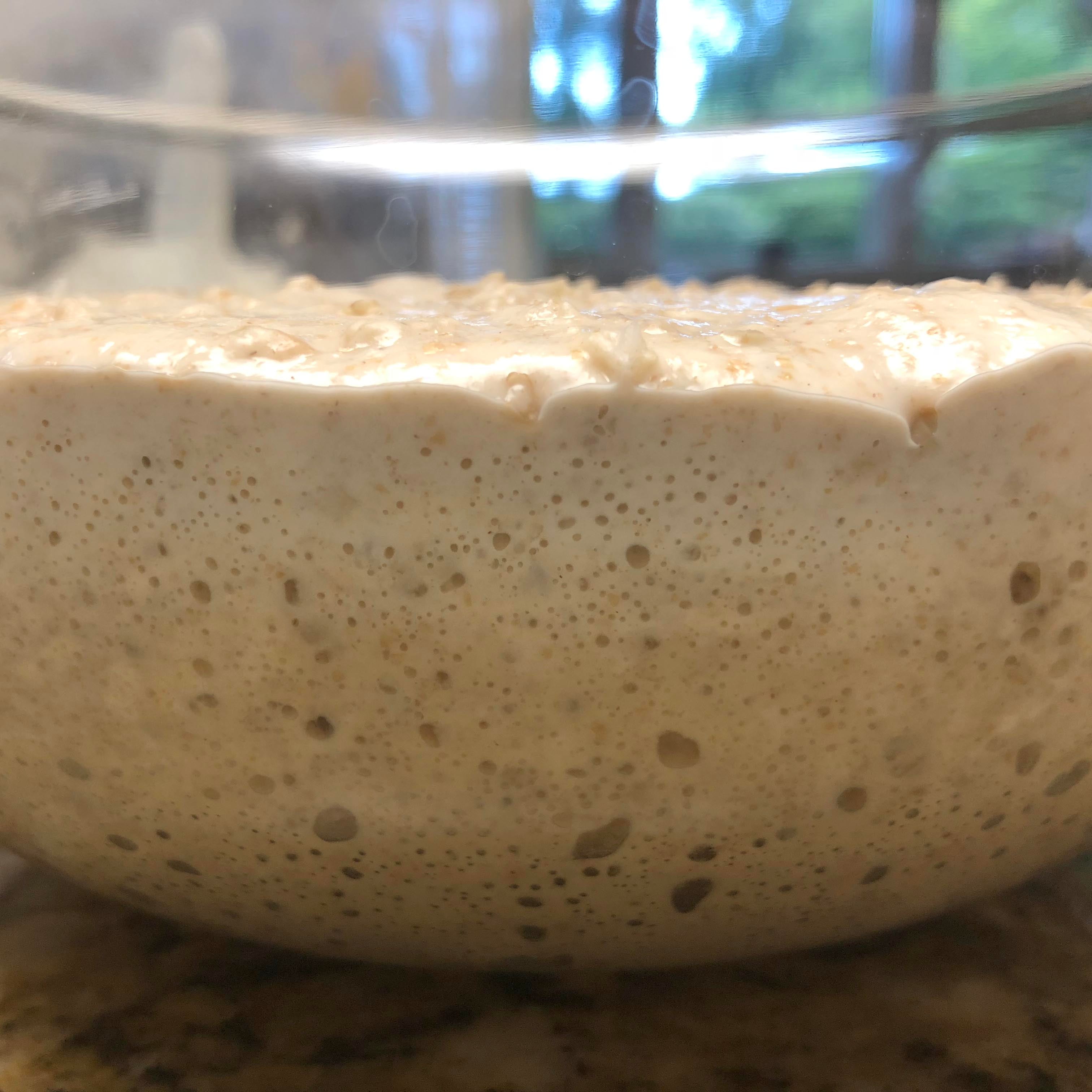 Bubbly-dough-closeup