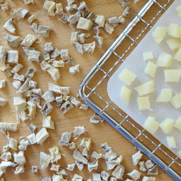 Chopped raw and dehydrated ginger on a dehydrator rack