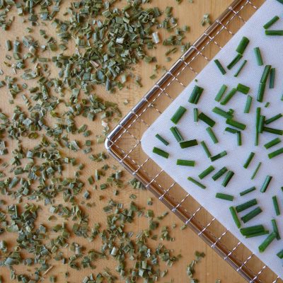 Fresh and dehydrated chopped chives on a dehydrator rack