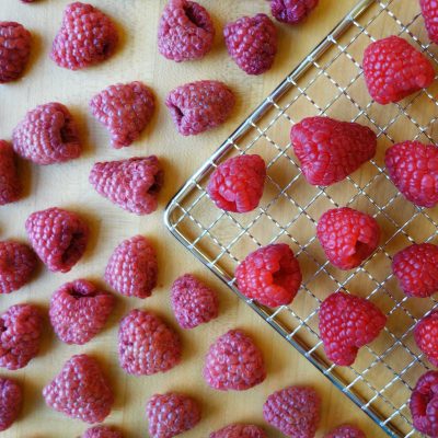 slices of raspberries