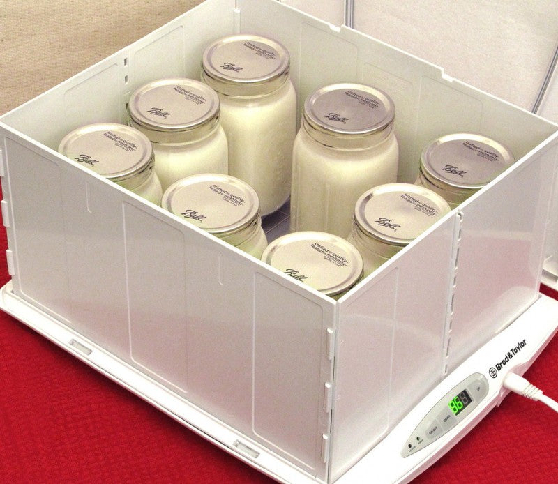 Folding proofer with quart jars of yogurt