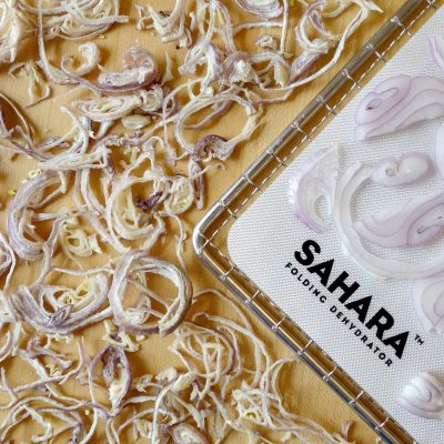 Chopped raw and dehydrated scallions on a dehydrator rack