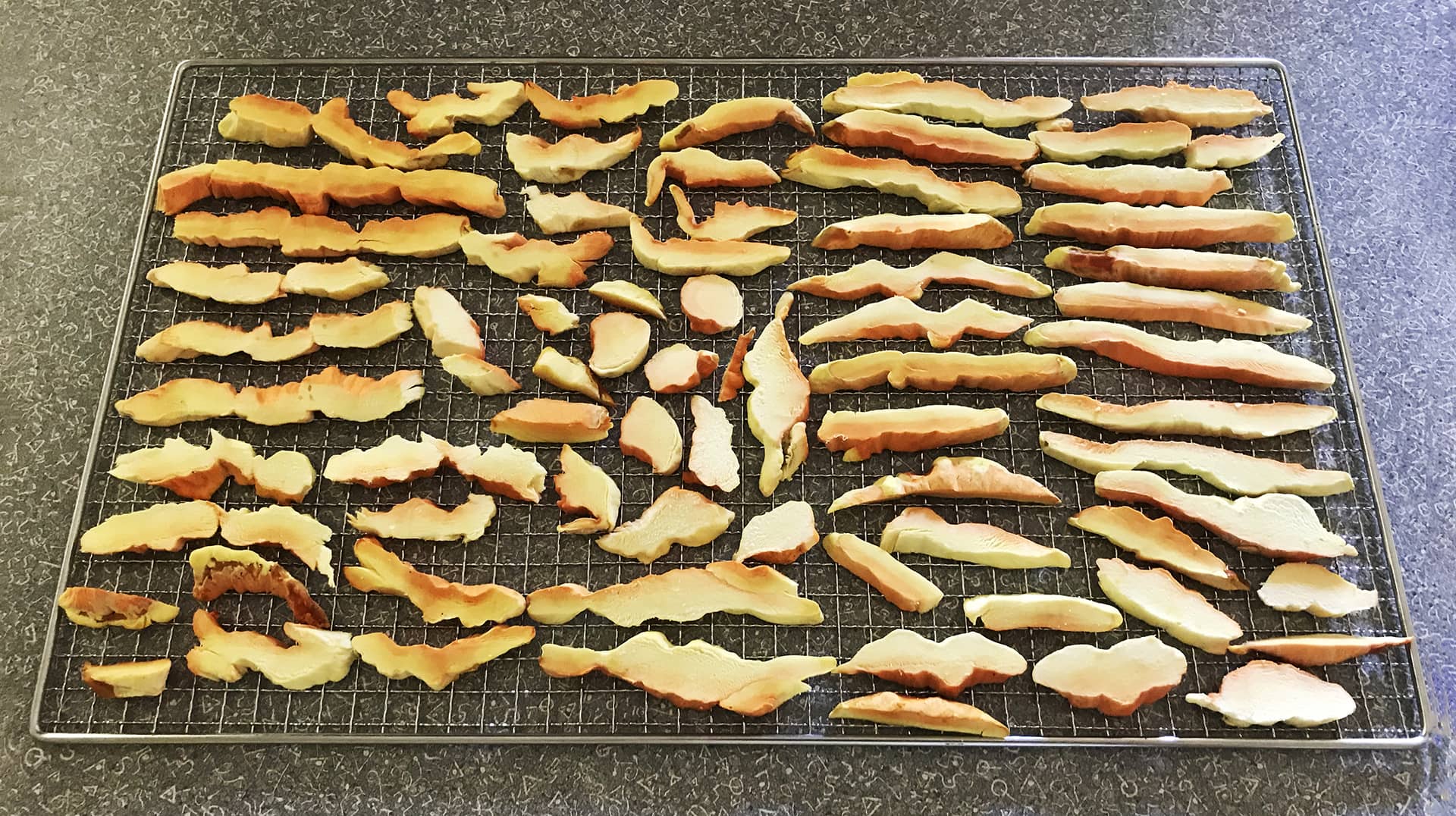 Dehydrating Mushrooms I Trail Cooking