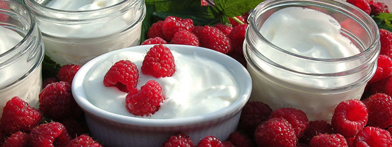 Bowl of Greek - style yogurt and fresh raspberries