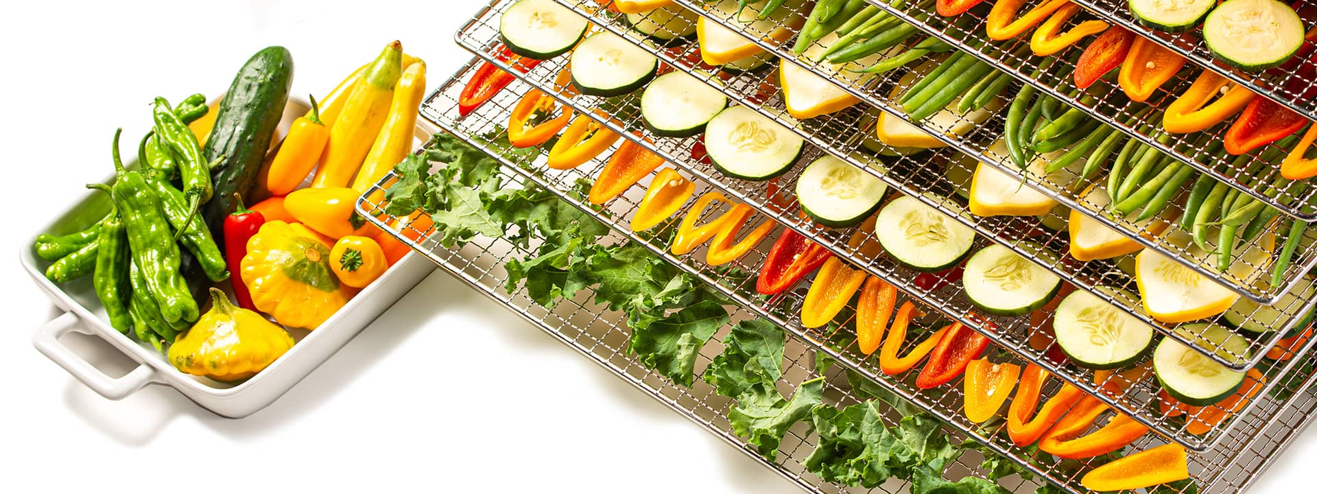 Colorful dried vegetables on dehydrator shelves