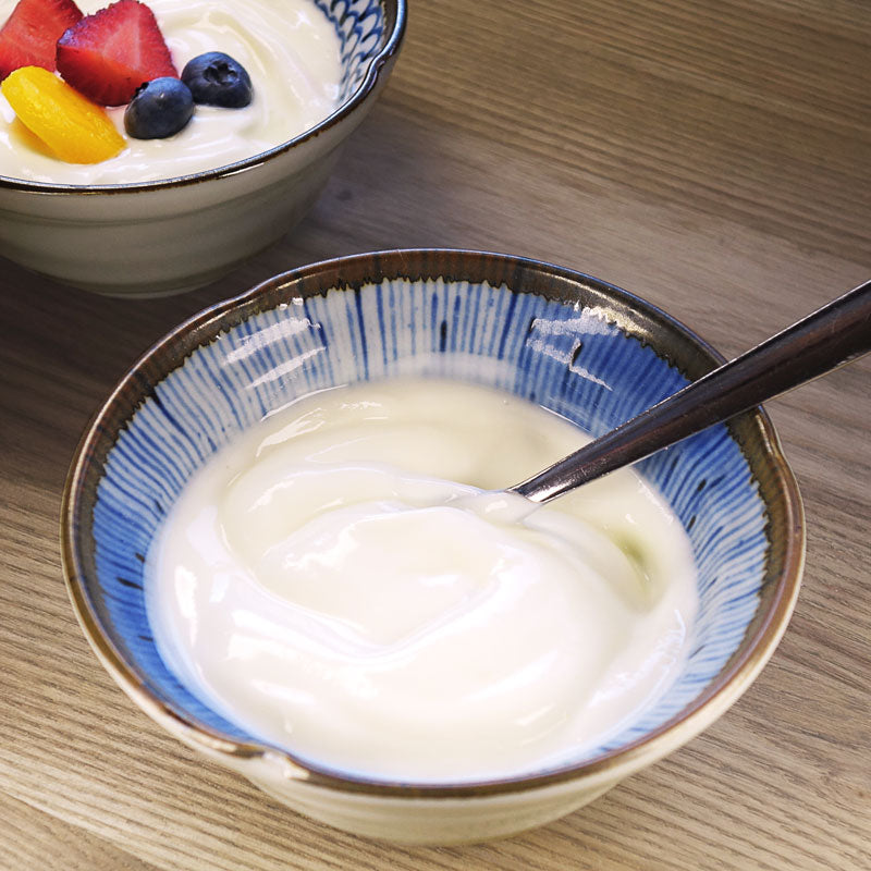 Bowl of plain Greek-style yogurt 