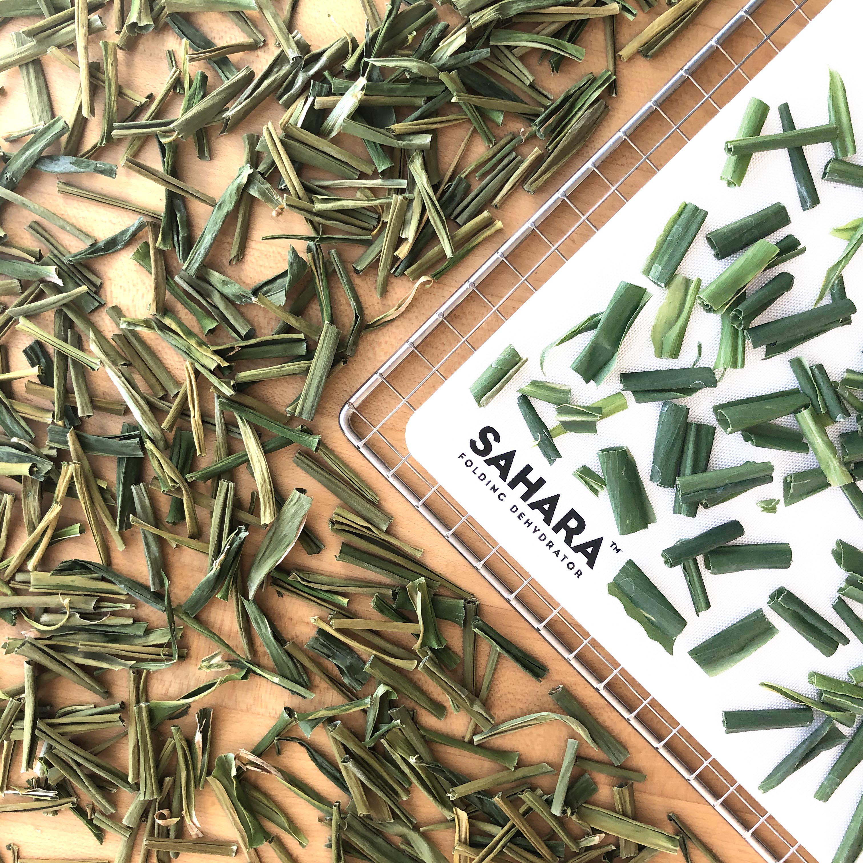 Fresh and dehydrated ginger leaves on a dehydrator rack