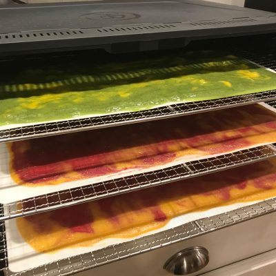 Assorted fruit paste spread over drying mats