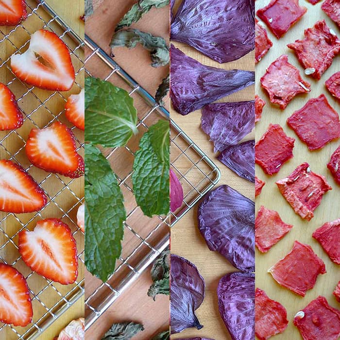 Fraise, menthe, hibiscus et melon d'eau frais et déshydratés.