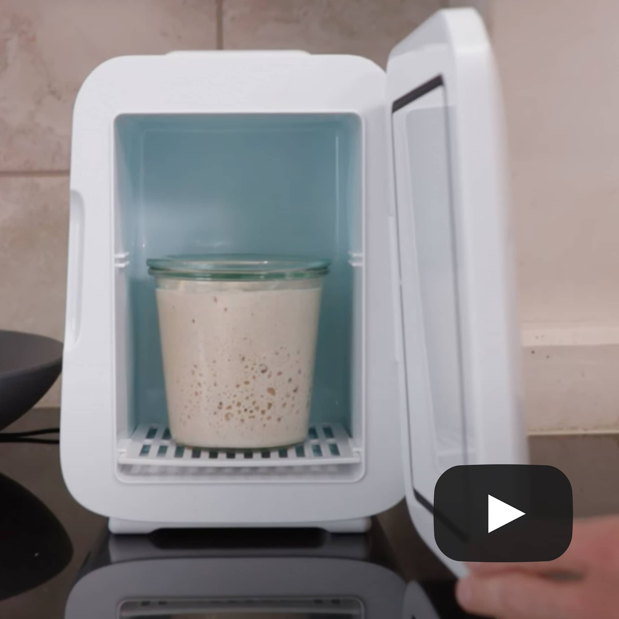 Sourdough Home on a kitchen counter