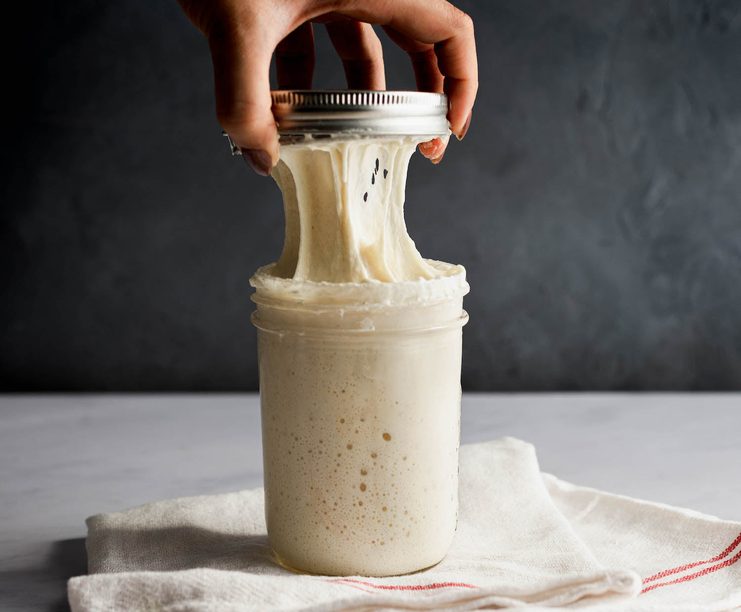 Strechy sourdough starter