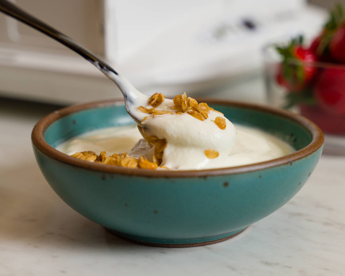 Yogurt in a bowl