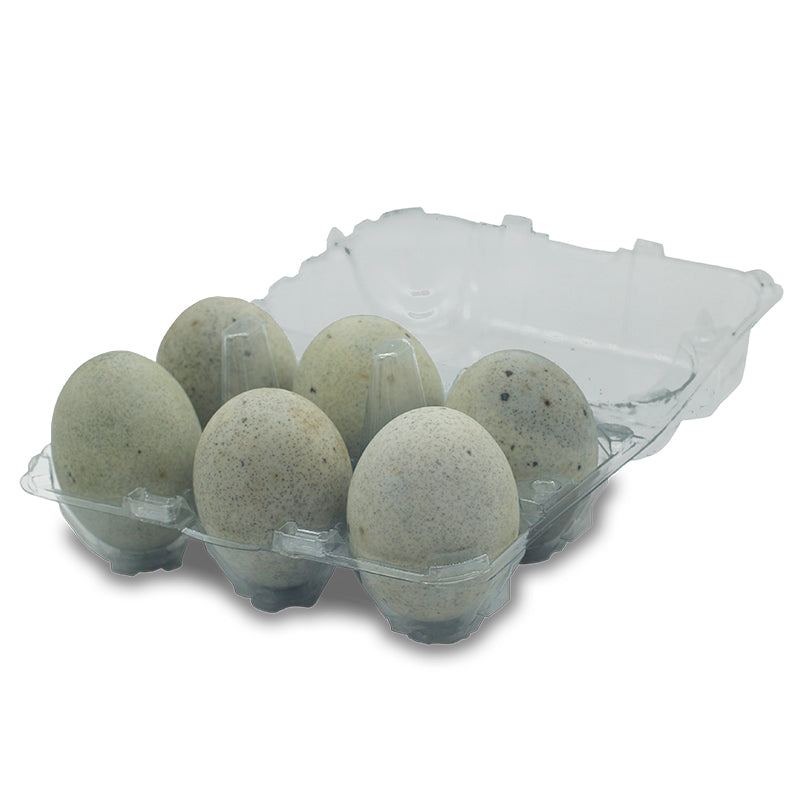 Century Duck Eggs 6x - Trung Bac Thao - Made In Australia Golden Poultry