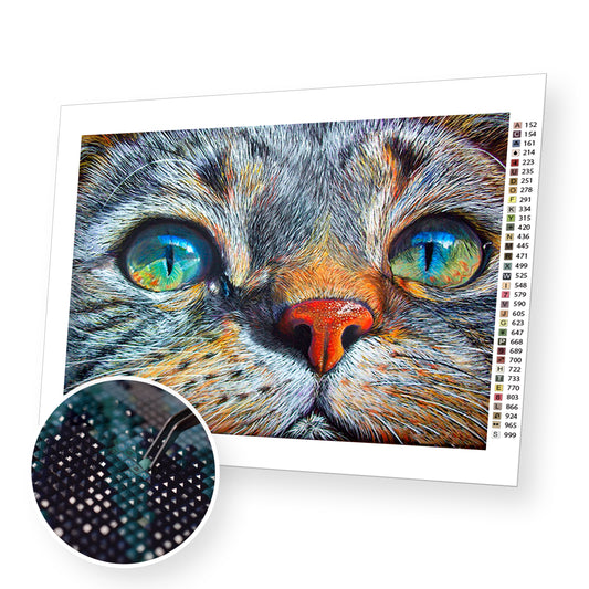 The Black Cat - Diamond Art Kit – Paint by Diamonds