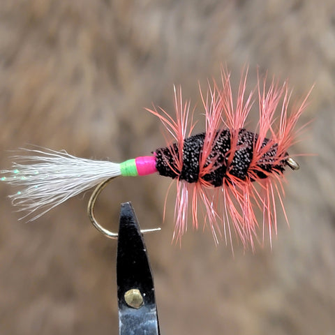 Modified Shady Lady with Orange Hackle Salmon Bug – Hunted Treasures