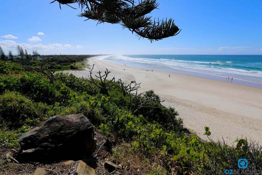 Looking north along Cabarita Beach