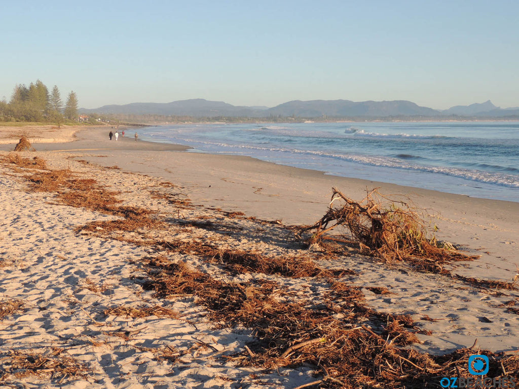 Clarkes Beach Byron Bay facing east