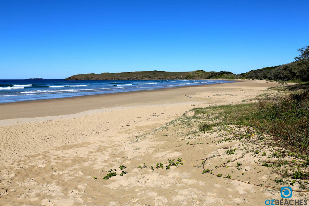 Looking south along Sandy Beach Coffs Harbour