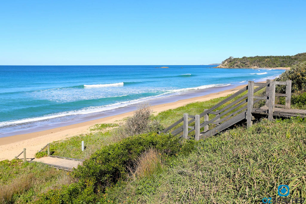 Picture perfect day at Sapphire Beach Coffs Harbour