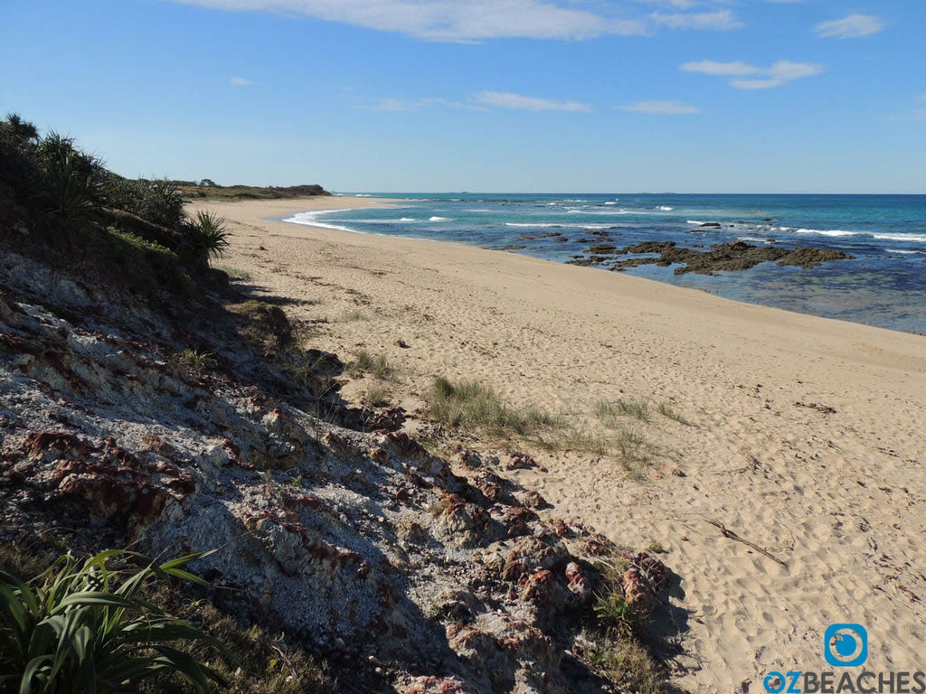 Looking north along Corindi Beach NSW