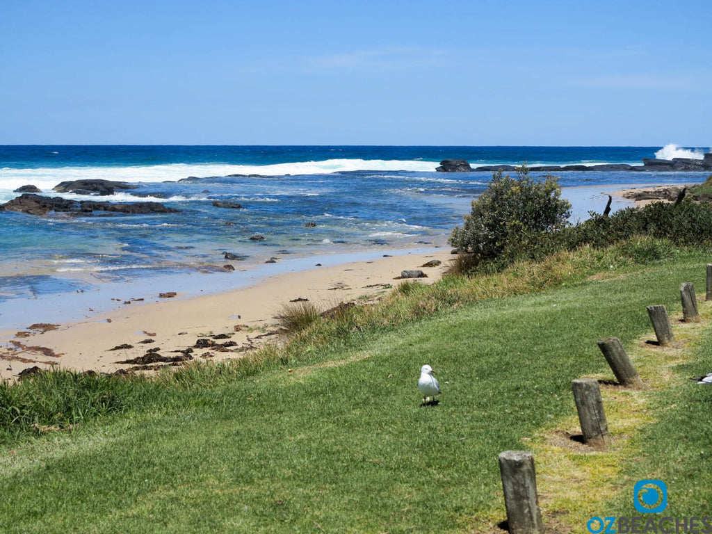 Dolphin Point beach on a sunny day