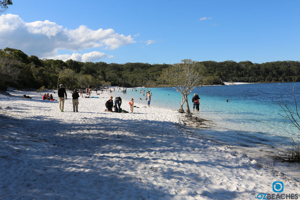 Blue Lake on Fraser Island is a popular stop off for the tour buses and gets crowded