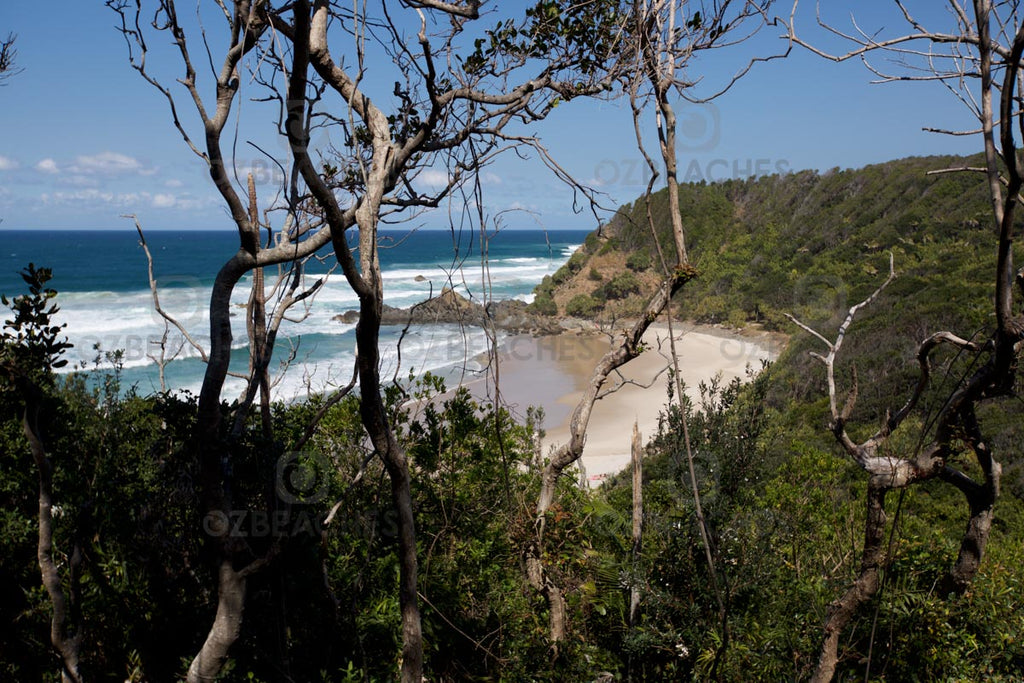 Looking through the trees along the Three Sisters track at Kings Beach at Broken Head